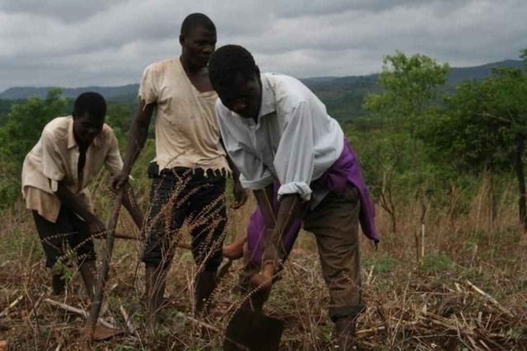 Investing in Africa: The challenge of agriculture