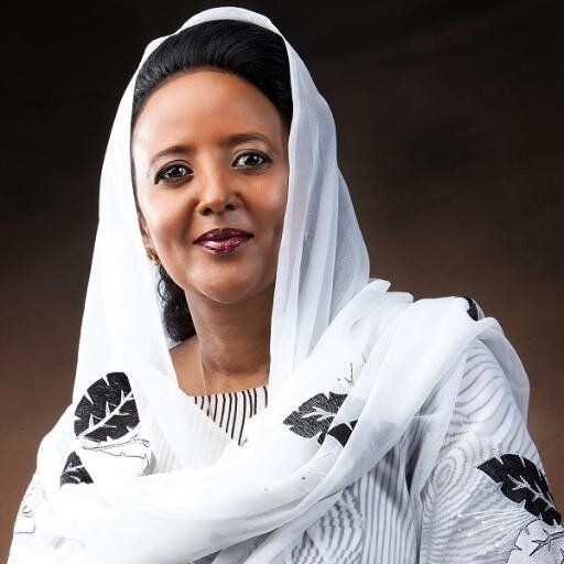 Photo of Amina C. Mohamed