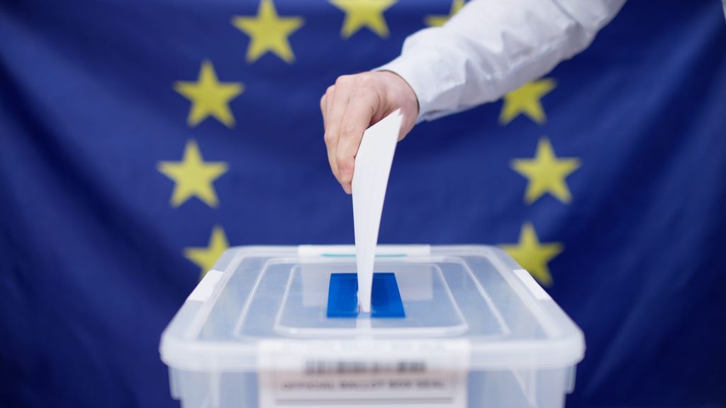 Friends of Europe Frankly Speaking Migration will decide the EU elections: True or false? 2024