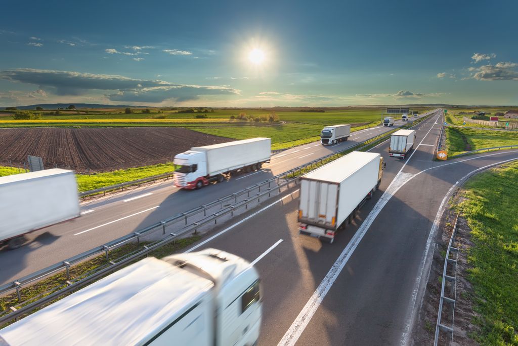 The future of road freight transport