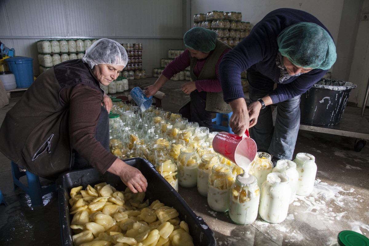 Women’s economic empowerment in the Western Balkans - Meeting 3