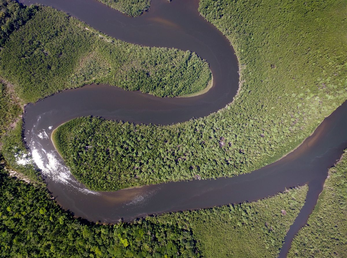 Deforestation - A sustainable dilemma