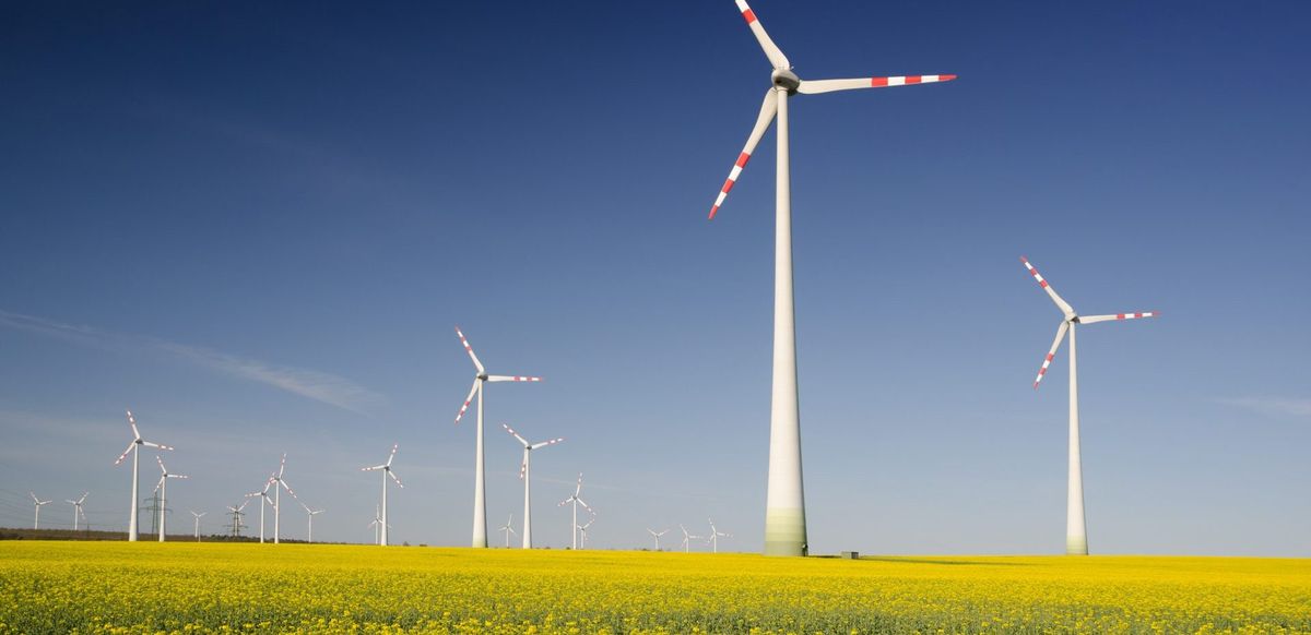 The European Green Deal: target 2050?