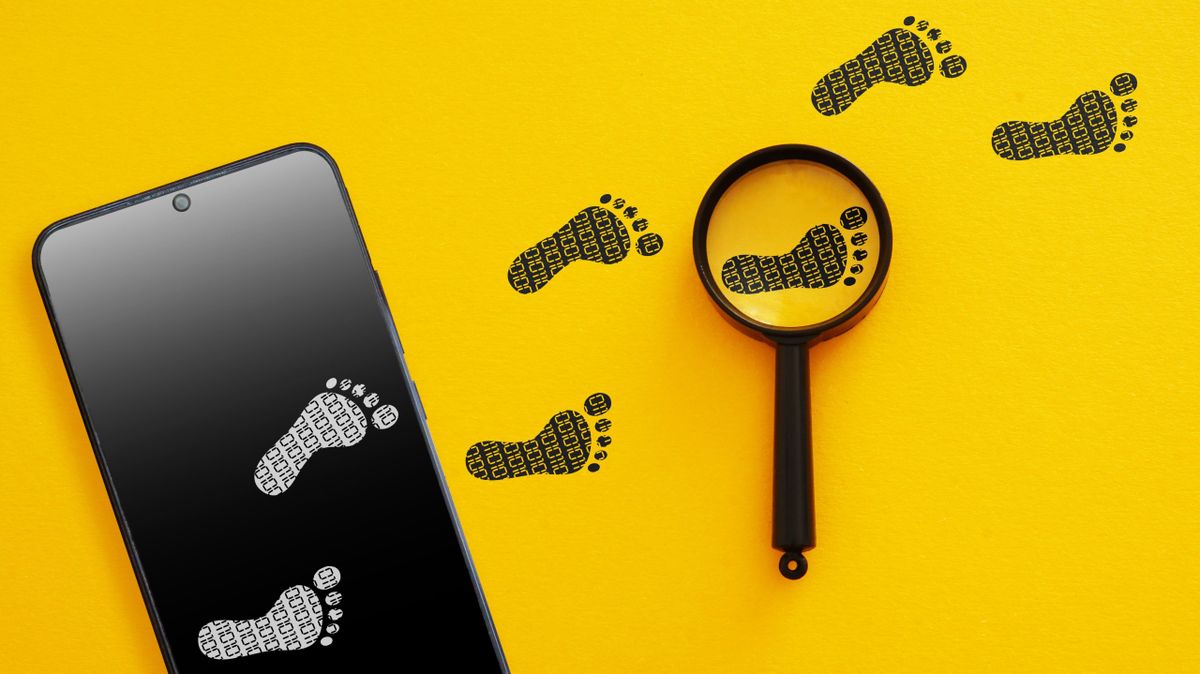 Privacy, plurality, prosperity: designing a workable Digital Omnibus