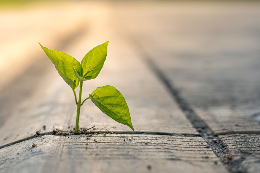 Integrated thinking for a climate-resilient Europe