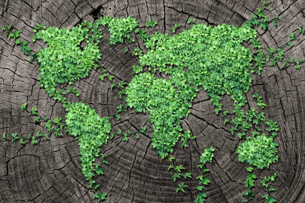 Financing a low-carbon economy