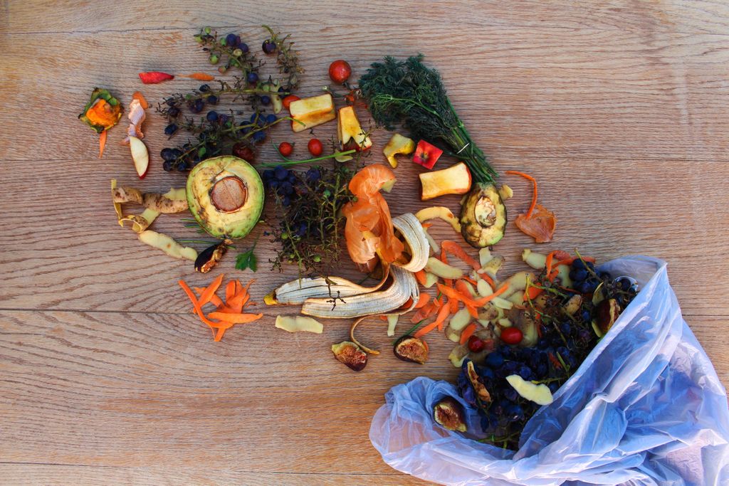 Friends of Europe Critical Thinking From farm to fork, let’s unite against food waste 2023