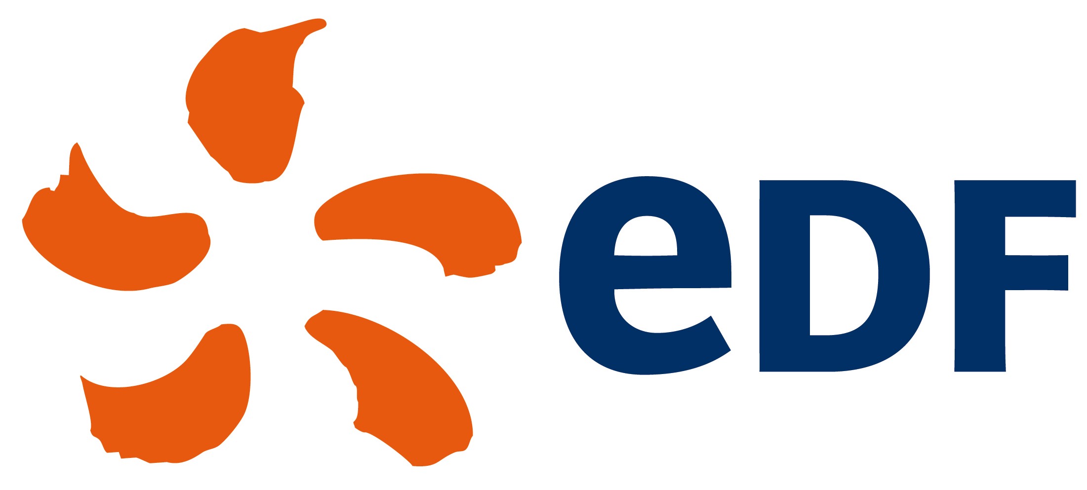 Electricité de France (EDF) logo