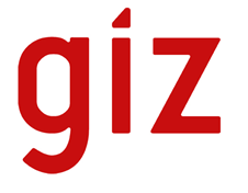 giz logo