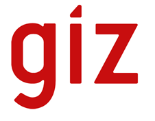 GIZ logo